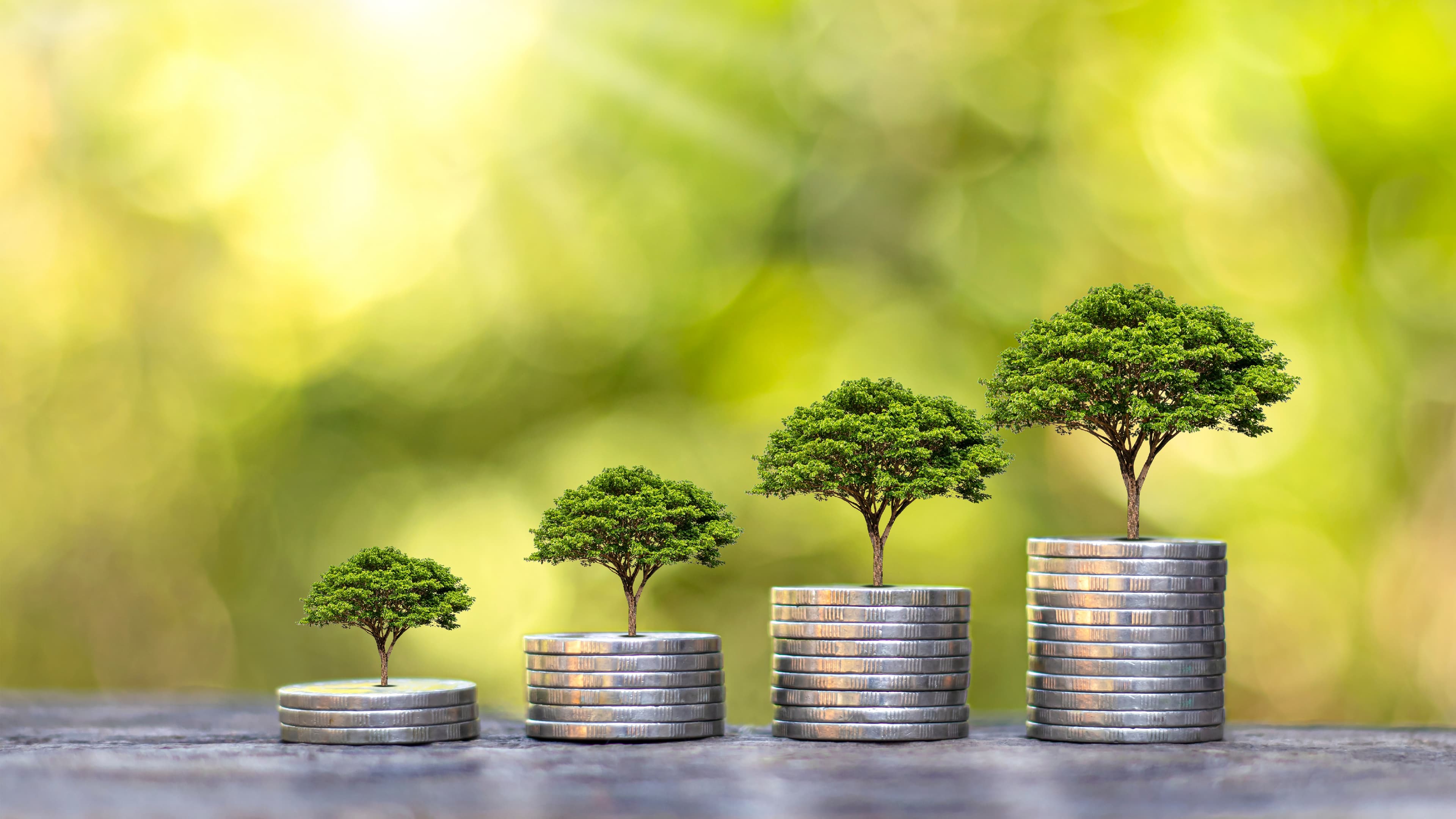 SAVING DEPOSIT